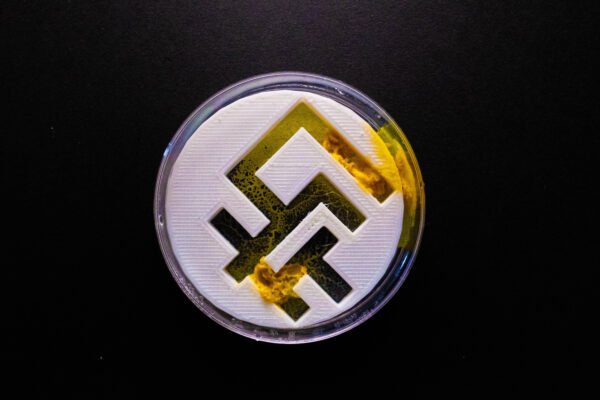 DSCF8496 (2) kit blob physarum polycephalum premium