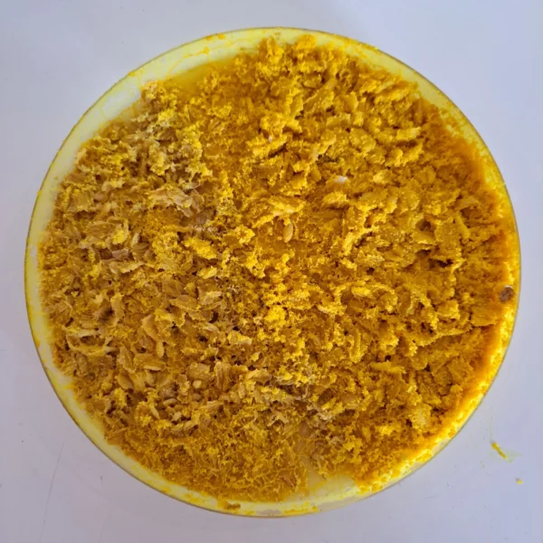 Two sclerotia of the slime mould Physarum polycephalum