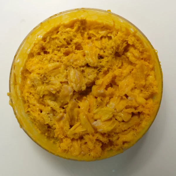 kit blob physarum polycephalum