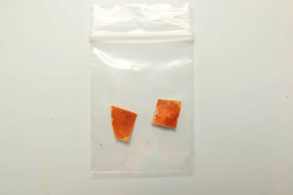 Two sclerotia of the slime mould Physarum polycephalum